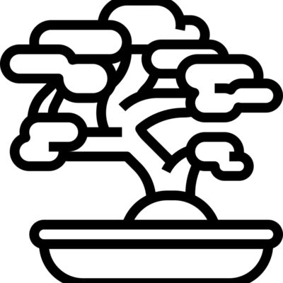 Bonsai Tree Thumbnail